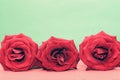 Three red roses on a light red-green background