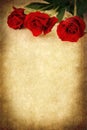 Three Red Roses over Grunge Background Royalty Free Stock Photo