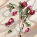 Three red roses, scattered flower petals, green leaves, glass round vase on wooden background top view closeup, floral arrangement