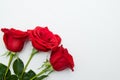 Three red Roses on white wooden background. copy space - Valentines and 8 March Mother Womens Day concept Royalty Free Stock Photo