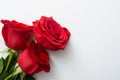 Three Red Roses On white wooden background. copy space - Valentines and 8 March Mother Women& x27;s Day concept Royalty Free Stock Photo