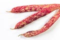 Three red speckled October bean pods isolated on white Royalty Free Stock Photo