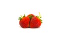 Three Red strawberries on tissue paper on white background Royalty Free Stock Photo