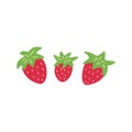 Three red strawberries. Vector doodle hand drawn berries Royalty Free Stock Photo