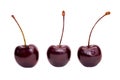 Three red sweet cherries close-up isolated on a white background. Royalty Free Stock Photo