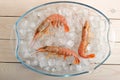Three red tiger shrimp on ice Royalty Free Stock Photo