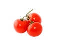 Three red tomatoes Royalty Free Stock Photo
