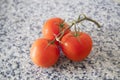 Three red tomatoes on a branch Royalty Free Stock Photo