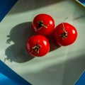 Three red tomatoes lie on a plate in the sunlight Royalty Free Stock Photo