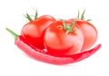 Three Red Tomatoes and Red Hot Pepper isolated Royalty Free Stock Photo