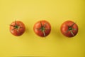 Three red tomatoes on yellow background. Complimentary color style. Royalty Free Stock Photo