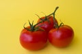 Three red tomatoes on yellow background Royalty Free Stock Photo