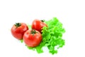 Three red tomatos on leaves of lettuce Royalty Free Stock Photo