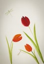 Three red tulip