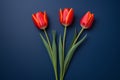 Three red tulips on a blue background,Generative AI Royalty Free Stock Photo
