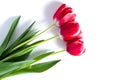 Three red tulips with shadow isolated on white background Royalty Free Stock Photo