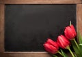 Three red tulips on a vintage school slate