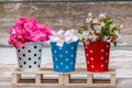 Three red, white and blue metal buckets with colorful flowers on wooden pallets. Home decor. Royalty Free Stock Photo