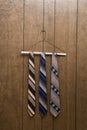Three retro ties on hanger.