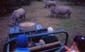 Three rhino`s close in front of th Landrover at Shamwari Game Reserve Royalty Free Stock Photo