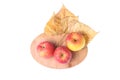 Three ripe apples, fallen leaves Royalty Free Stock Photo