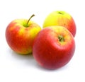 Three ripe by apples isolated