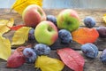 Three ripe apples lie on a wooden table among the fallen autumn yellow and red leaves Royalty Free Stock Photo