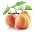 Three ripe apricots isolated on the white background Royalty Free Stock Photo