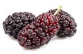 Three ripe black mulberries fruits isolated on white background Royalty Free Stock Photo