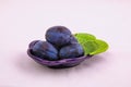 Three ripe blue plums on a small dish in studio Royalty Free Stock Photo