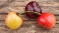Three ripe cherries  close-up on an  wooden table. Royalty Free Stock Photo