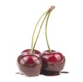 Three ripe cherries in hot milk chocolate isolated on white background Royalty Free Stock Photo