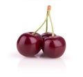 Three ripe cherries Royalty Free Stock Photo