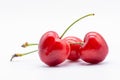 Three ripe cherries on white background Royalty Free Stock Photo