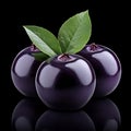 Three Ripe Chokeberries , Aronia Melanocarpa, With Leafs on a Reflective Black Background Royalty Free Stock Photo