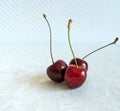 Three Ripe Fresh Red Cherries together on a white background in a summer day Royalty Free Stock Photo