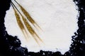 Three ripe golden ears of corn lying on a background of white cr Royalty Free Stock Photo