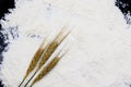 Three ripe golden ears of wheat bread lying on a background of w Royalty Free Stock Photo