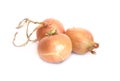 Three ripe golden onion isolated