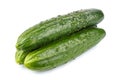 Three ripe green cucumber in stack isolated on white background Royalty Free Stock Photo