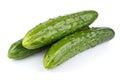 Three ripe green cucumber in stack isolated on white background Royalty Free Stock Photo