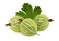 Three ripe green gooseberries with leaf (isolated)