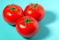 Three ripe greenhouse tomatoes with green stems