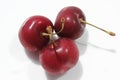 Three ripe juicy red sweet cherries on a white background