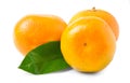Three ripe mandarins isolated on white background Royalty Free Stock Photo