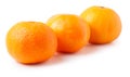 Three ripe mandarins isolated on white background Royalty Free Stock Photo