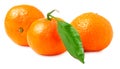 Three ripe mandarins isolated on white background Royalty Free Stock Photo