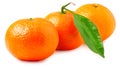 Three ripe mandarins isolated on white background Royalty Free Stock Photo