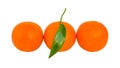 Three ripe orange mandarins with green leaf in a row isolated