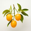 Delicate Markings: Three Oranges In Larme Kei Style On White Background Royalty Free Stock Photo